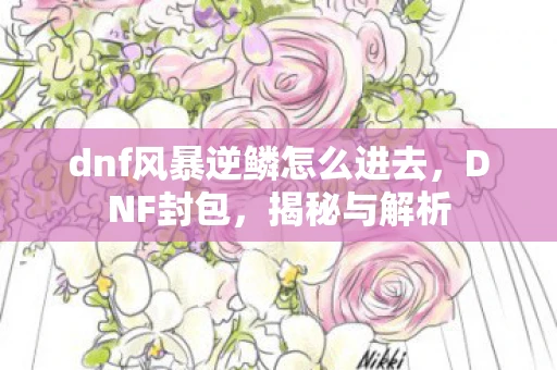 dnf风暴逆鳞怎么进去,DNF封包,揭秘与解析 dnf风暴逆鳞怎么进去,DNF封包,揭秘与解析