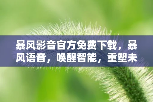 暴风影音官方免费下载，暴风语音，唤醒智能，重塑未来