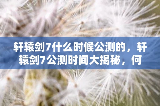 轩辕剑7什么时候公测的，轩辕剑7公测时间大揭秘，何时能体验这款经典续作的魅力？