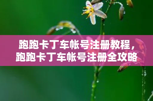跑跑卡丁车帐号注册教程，跑跑卡丁车帐号注册全攻略