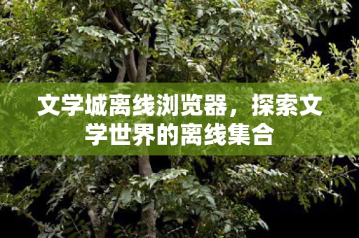 探索文学世界的离线集合图片