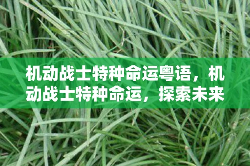 机动战士特种命运粤语,机动战士特种命运,探索未来战争的未知领域 机动战士特种命运粤语,机动战士特种命运,探索未来战争的未知领域