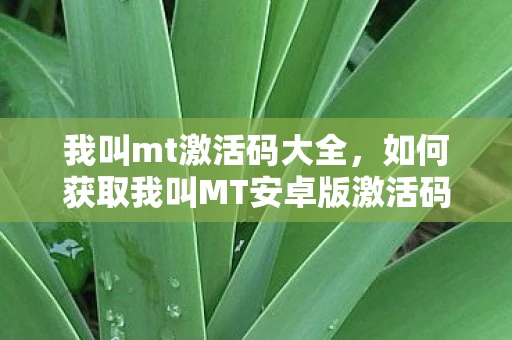 我叫mt激活码大全，如何获取我叫MT安卓版激活码？