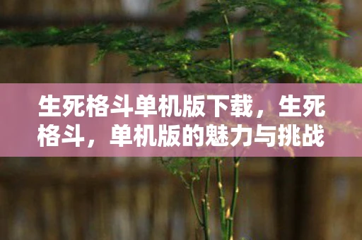 生死格斗单机版下载，生死格斗，单机版的魅力与挑战