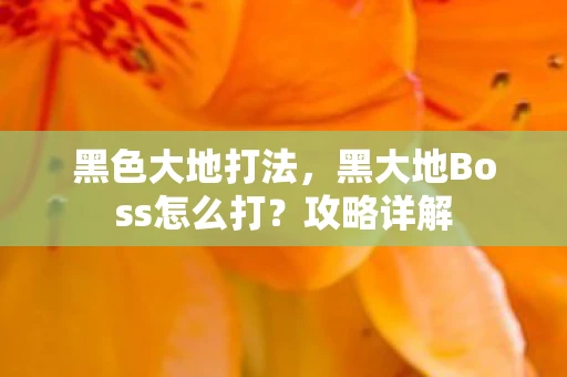黑色大地打法，黑大地Boss怎么打？攻略详解
