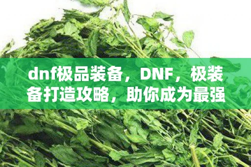dnf极品装备，DNF，极装备打造攻略，助你成为最强冒险家！