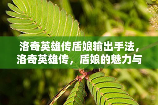 洛奇英雄传盾娘输出手法，洛奇英雄传，盾娘的魅力与战斗技巧