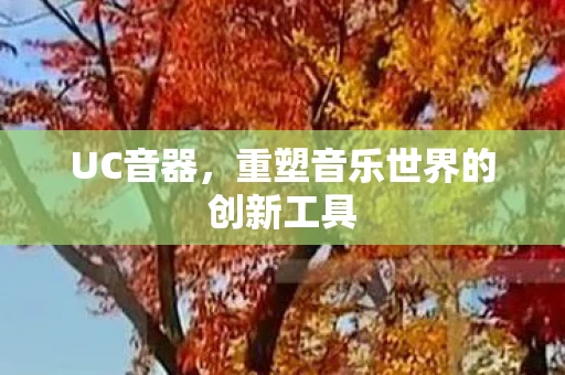 UC音器,重塑音乐世界的创新工具 UC音器,重塑音乐世界的创新工具
