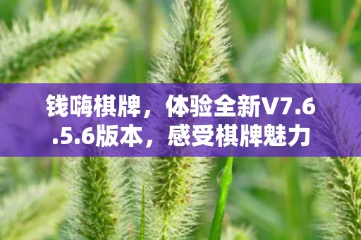 体验全新V7图片