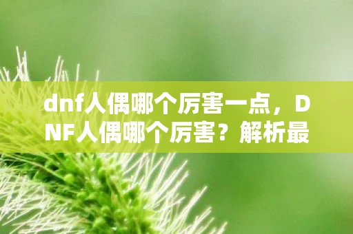 dnf人偶哪个厉害一点，DNF人偶哪个厉害？解析最强人偶选择