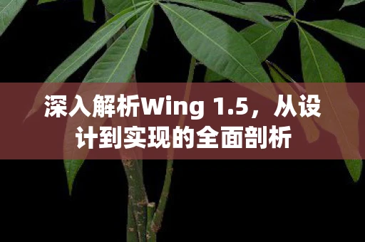深入解析Wing 1.5，从设计到实现的全面剖析