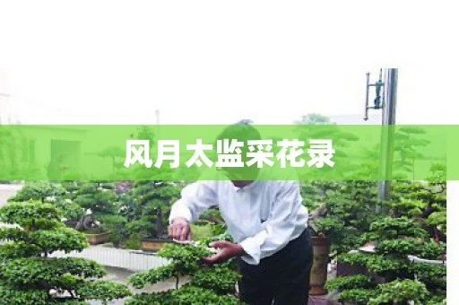 风月太监采花录