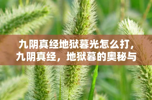 九阴真经地狱暮光怎么打，九阴真经，地狱暮的奥秘与传说