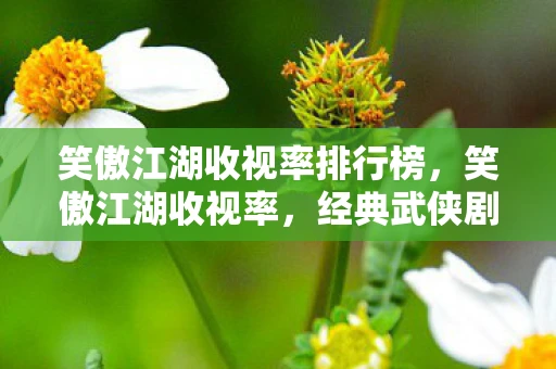 笑傲江湖收视率排行榜，笑傲江湖收视率，经典武侠剧的魅力与观众热情