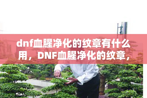 dnf血腥净化的纹章有什么用,DNF血腥净化的纹章,解锁神秘力量的钥匙 dnf血腥净化的纹章有什么用,DNF血腥净化的纹章,解锁神秘力量的钥匙