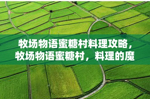 牧场物语蜜糖村料理攻略，牧场物语蜜糖村，料理的魔法与温馨回忆