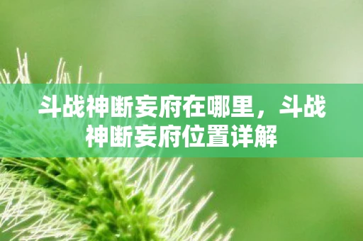 斗战神断妄府在哪里，斗战神断妄府位置详解