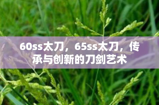 60ss太刀,65ss太刀,传承与创新的刀剑艺术 60ss太刀,65ss太刀,传承与创新的刀剑艺术
