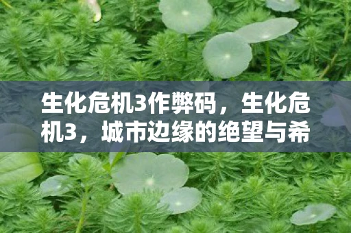 生化危机3作弊码,生化危机3,城市边缘的绝望与希望 生化危机3作弊码,生化危机3,城市边缘的绝望与希望