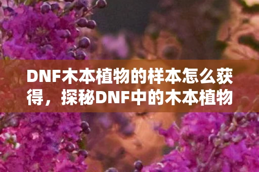 DNF木本植物的样本怎么获得，探秘DNF中的木本植物，从样本看游戏世界的生态多样性