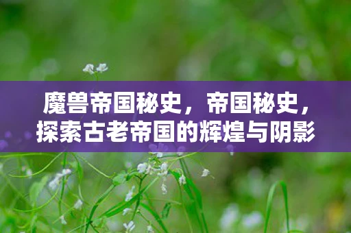 魔兽帝国秘史，帝国秘史，探索古老帝国的辉煌与阴影