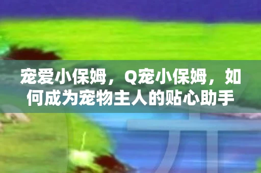 宠爱小保姆，Q宠小保姆，如何成为宠物主人的贴心助手