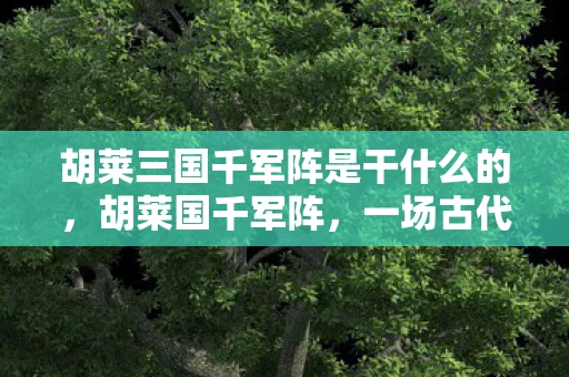 胡莱三国千军阵是干什么的，胡莱国千军阵，一场古代战争的壮丽史诗