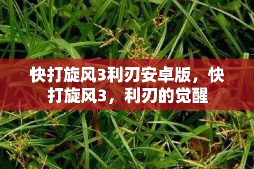 快打旋风3利刃安卓版,快打旋风3,利刃的觉醒 快打旋风3利刃安卓版,快打旋风3,利刃的觉醒