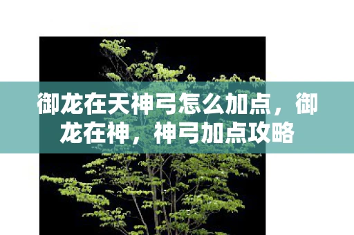 御龙在天神弓怎么加点，御龙在神，神弓加点攻略