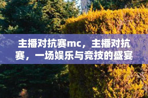 主播对抗赛mc，主播对抗赛，一场娱乐与竞技的盛宴