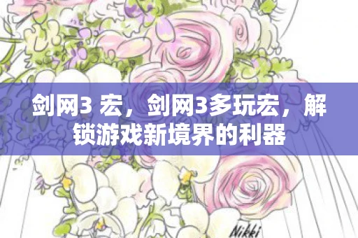 剑网3 宏，剑网3多玩宏，解锁游戏新境界的利器