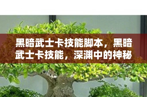 黑暗武士卡技能脚本，黑暗武士卡技能，深渊中的神秘力量