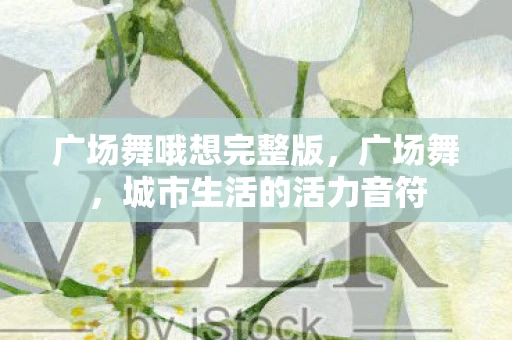 广场舞哦想完整版，广场舞，城市生活的活力音符