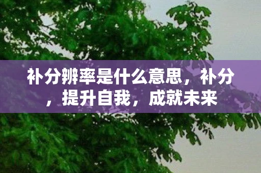 补分辨率是什么意思，补分，提升自我，成就未来