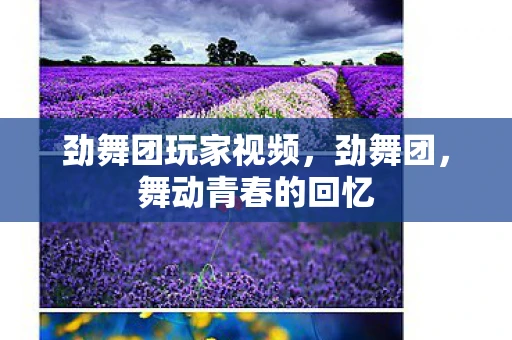 劲舞团玩家视频，劲舞团，舞动青春的回忆