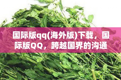 国际版qq(海外版)下载，国际版QQ，跨越国界的沟通桥梁