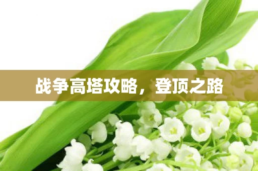 战争高塔攻略图片