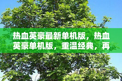 热血英豪最新单机版，热血英豪单机版，重温经典，再现辉煌