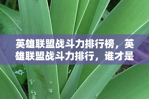 英雄联盟战斗力排行榜,英雄联盟战斗力排行,谁才是峡谷之巅的王者? 英雄联盟战斗力排行榜,英雄联盟战斗力排行,谁才是峡谷之巅的王者?