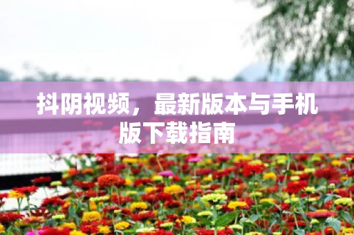 最新版本与手机版下载指南图片