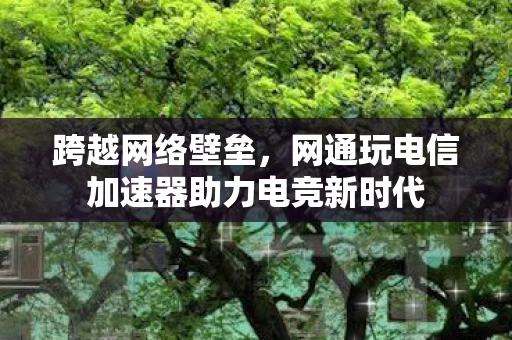 网通玩电信加速器助力电竞新时代图片