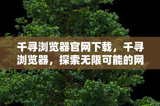 千寻浏览器官网下载,千寻浏览器,探索无限可能的网络之旅 千寻浏览器官网下载,千寻浏览器,探索无限可能的网络之旅