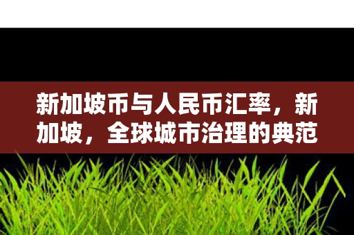 新加坡币与人民币汇率,新加坡,全球城市治理的典范 新加坡币与人民币汇率,新加坡,全球城市治理的典范