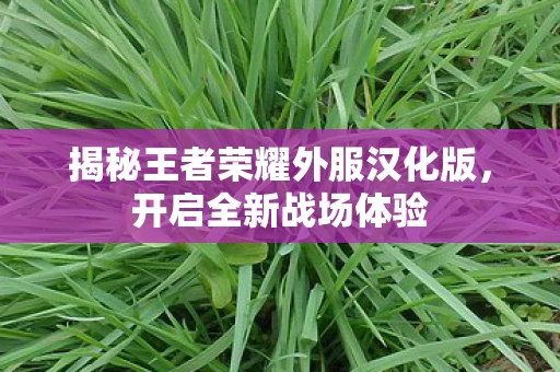 揭秘王者荣耀外服汉化版图片