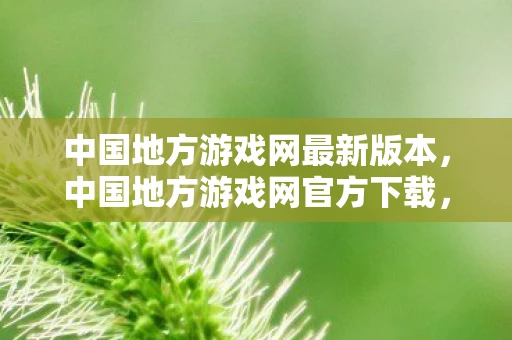 中国地方游戏网最新版本，中国地方游戏网官方下载，探索本土游戏文化的奇妙之旅