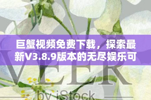 9版本的无尽娱乐可能性图片