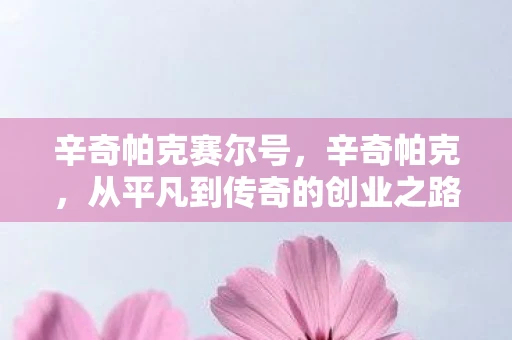 辛奇帕克赛尔号，辛奇帕克，从平凡到传奇的创业之路