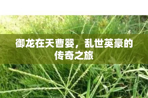 乱世英豪的传奇之旅图片