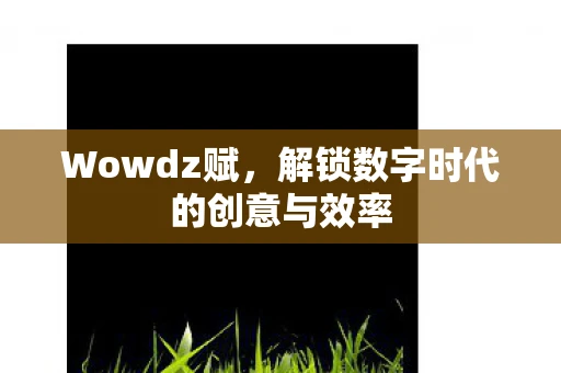 Wowdz赋，解锁数字时代的创意与效率