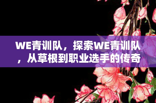 WE青训队，探索WE青训队，从草根到职业选手的传奇之路